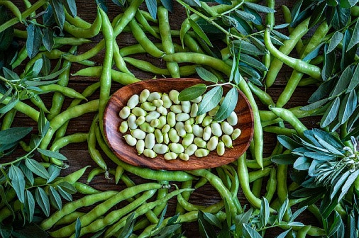 खाने की चीजों का क्वालिटी चेक