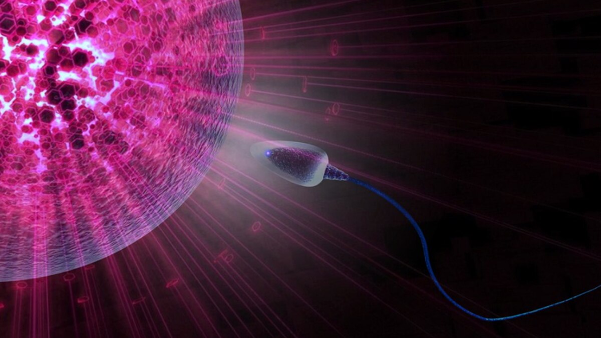 Monoclonal antibodies