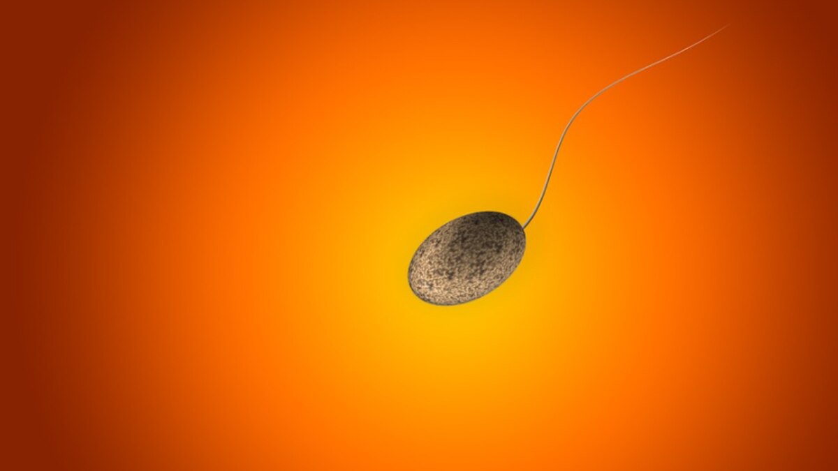 Monoclonal antibodies