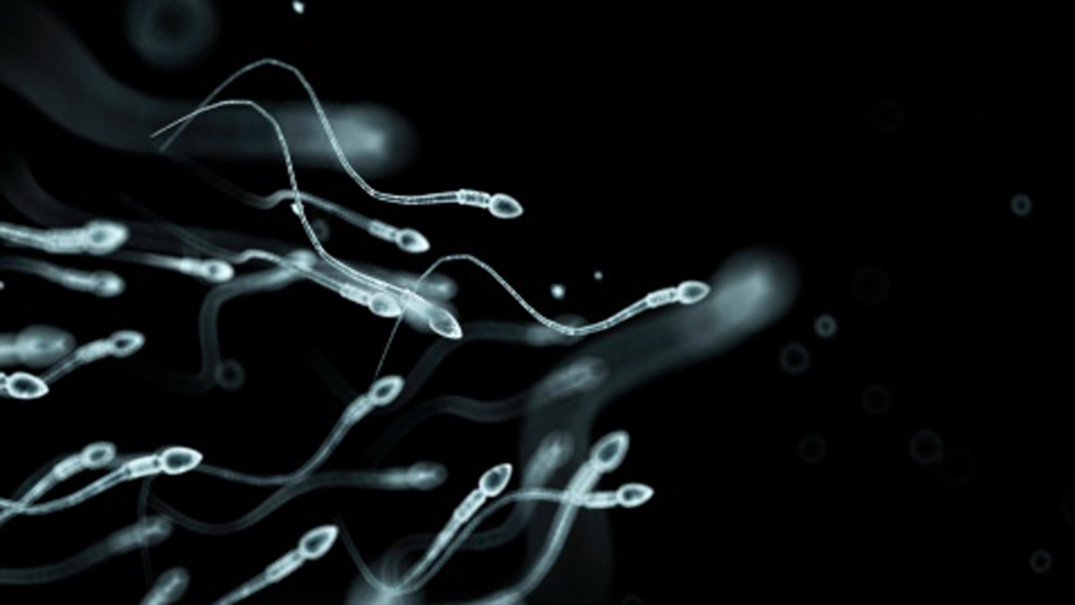 Monoclonal antibodies