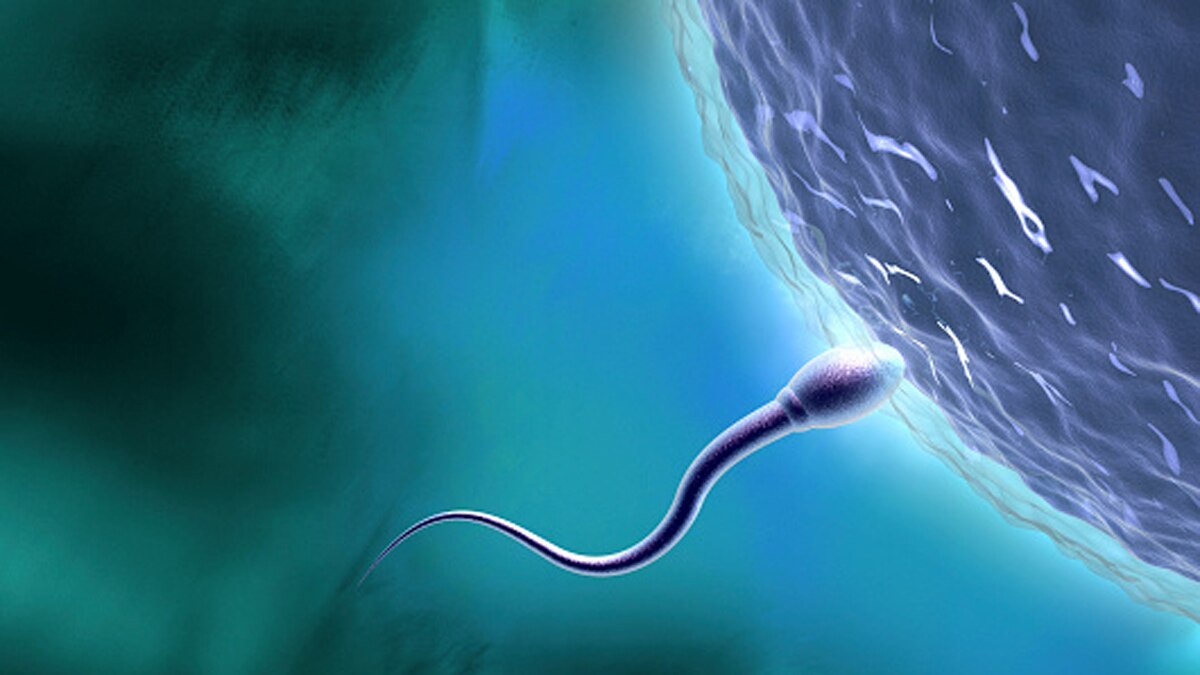 Monoclonal antibodies