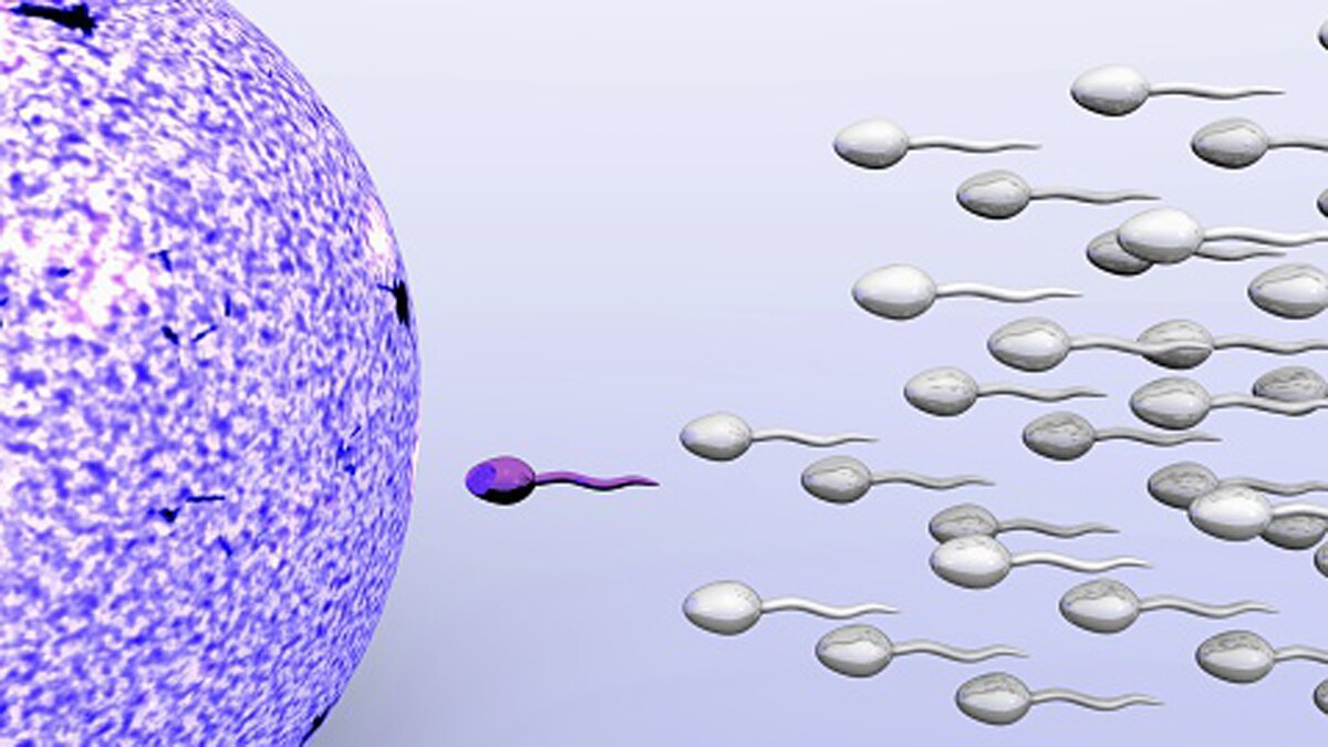 Monoclonal antibodies