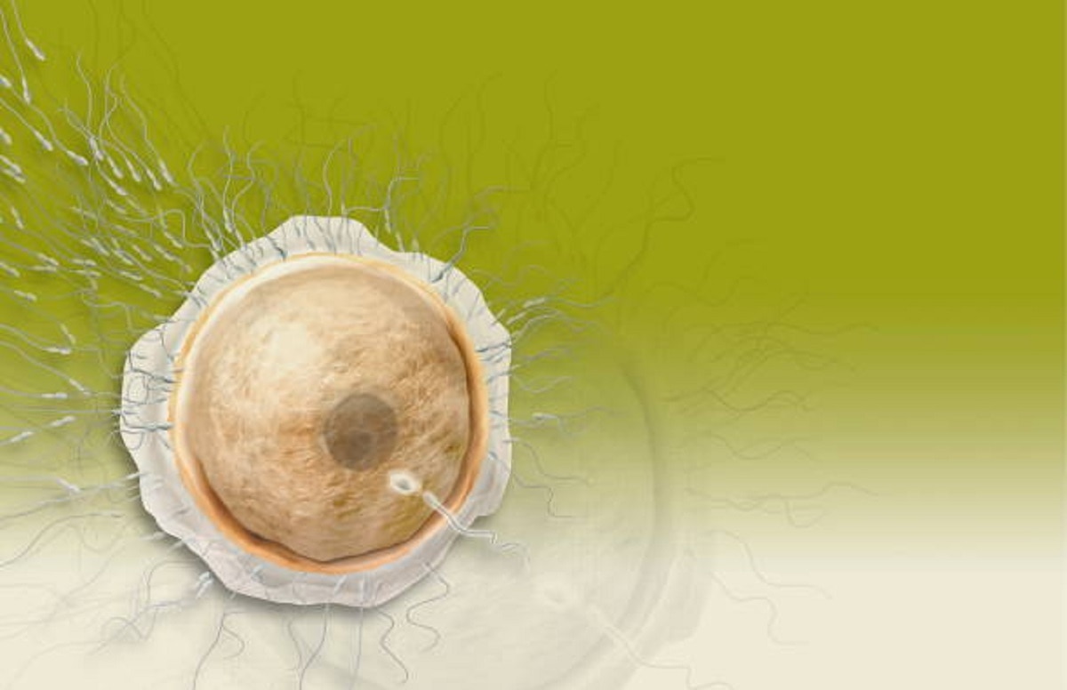 मेल फर्टिलिटी की समस्या