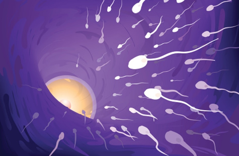 मेल फर्टिलिटी की समस्या