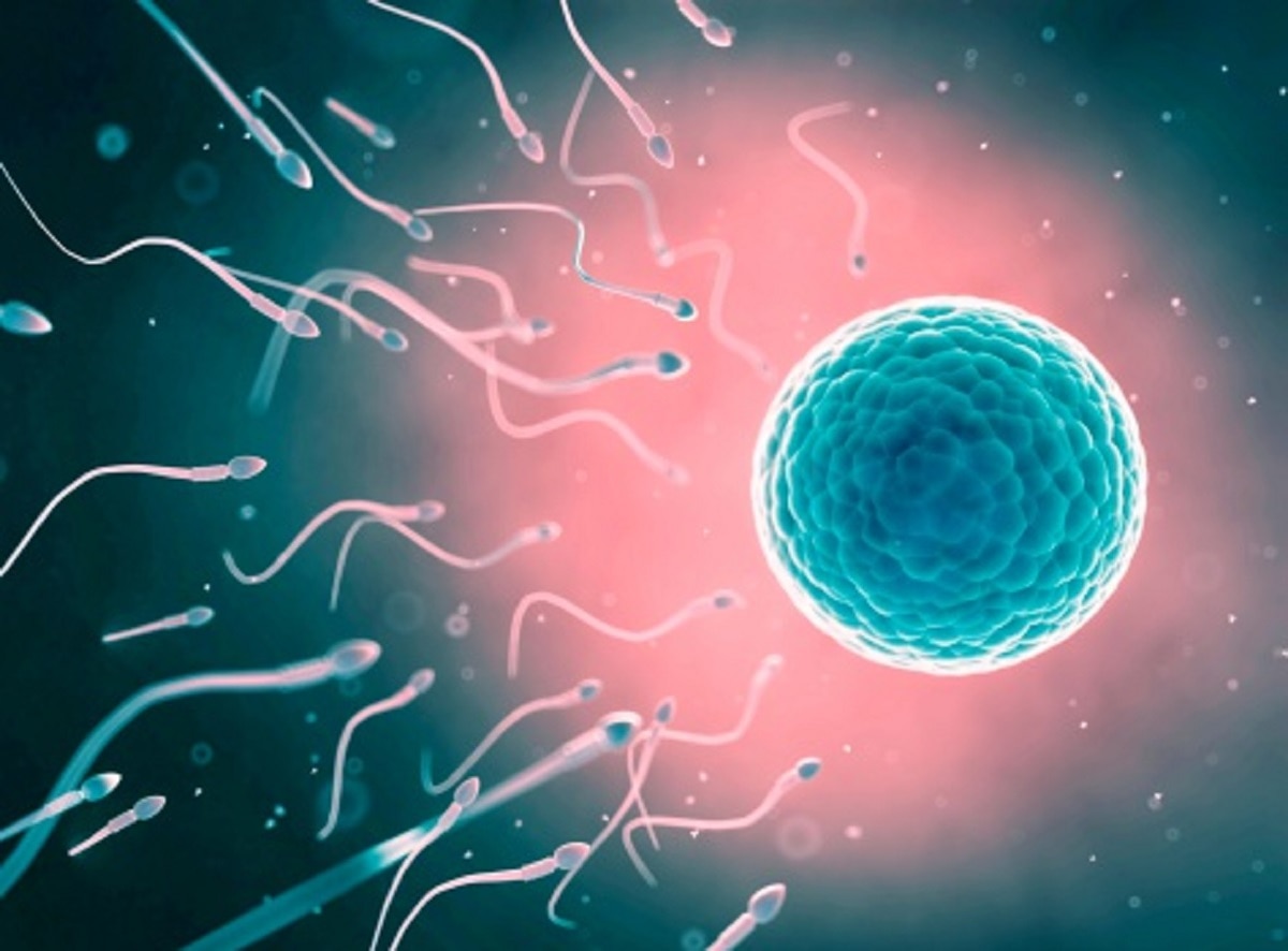 मेल फर्टिलिटी की समस्या