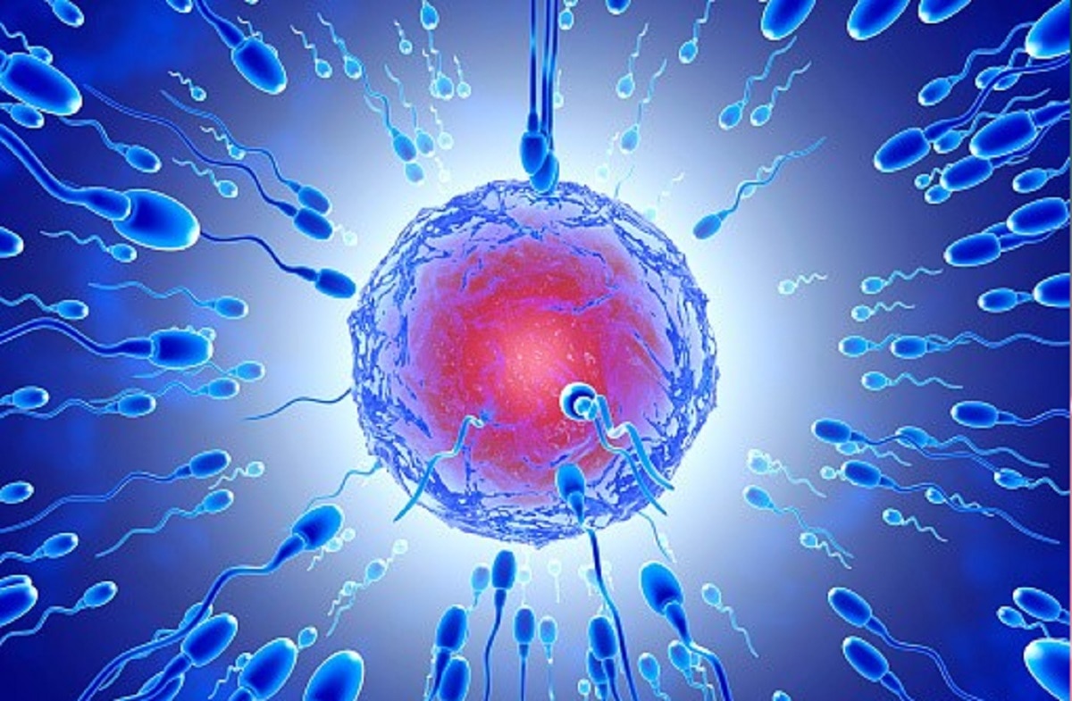 मेल फर्टिलिटी की समस्या