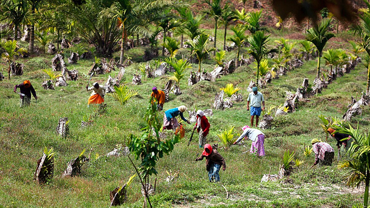 Sustainable Agriculture India