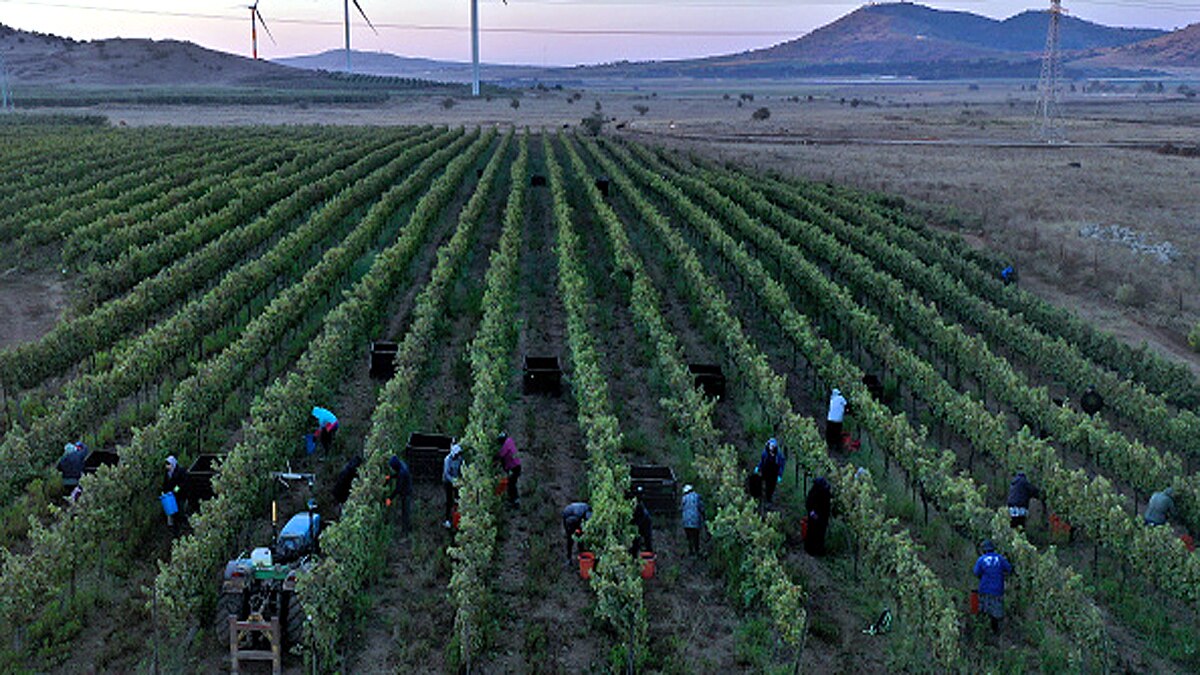 Sustainable Agriculture India