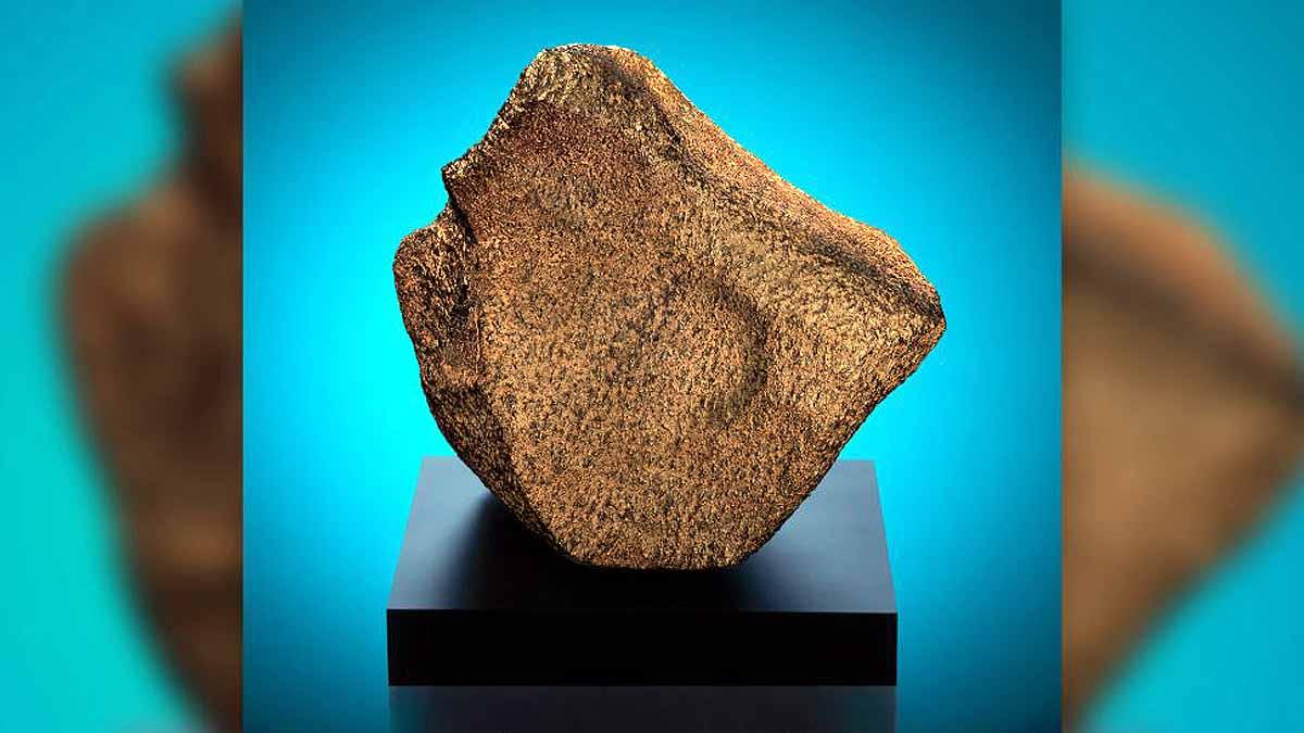 Worlds largest Martian meteorite