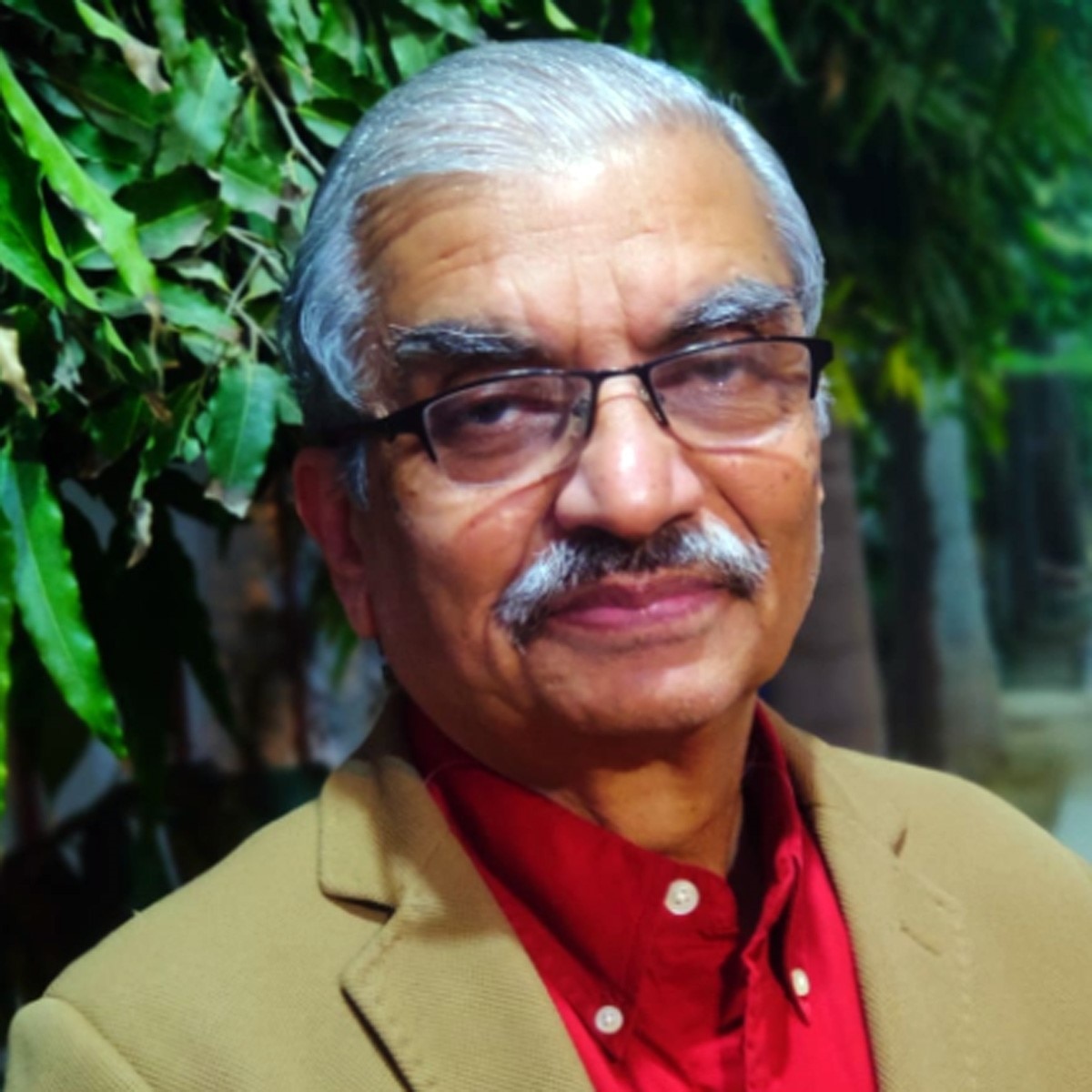 डॉ एनके अरोड़ा 