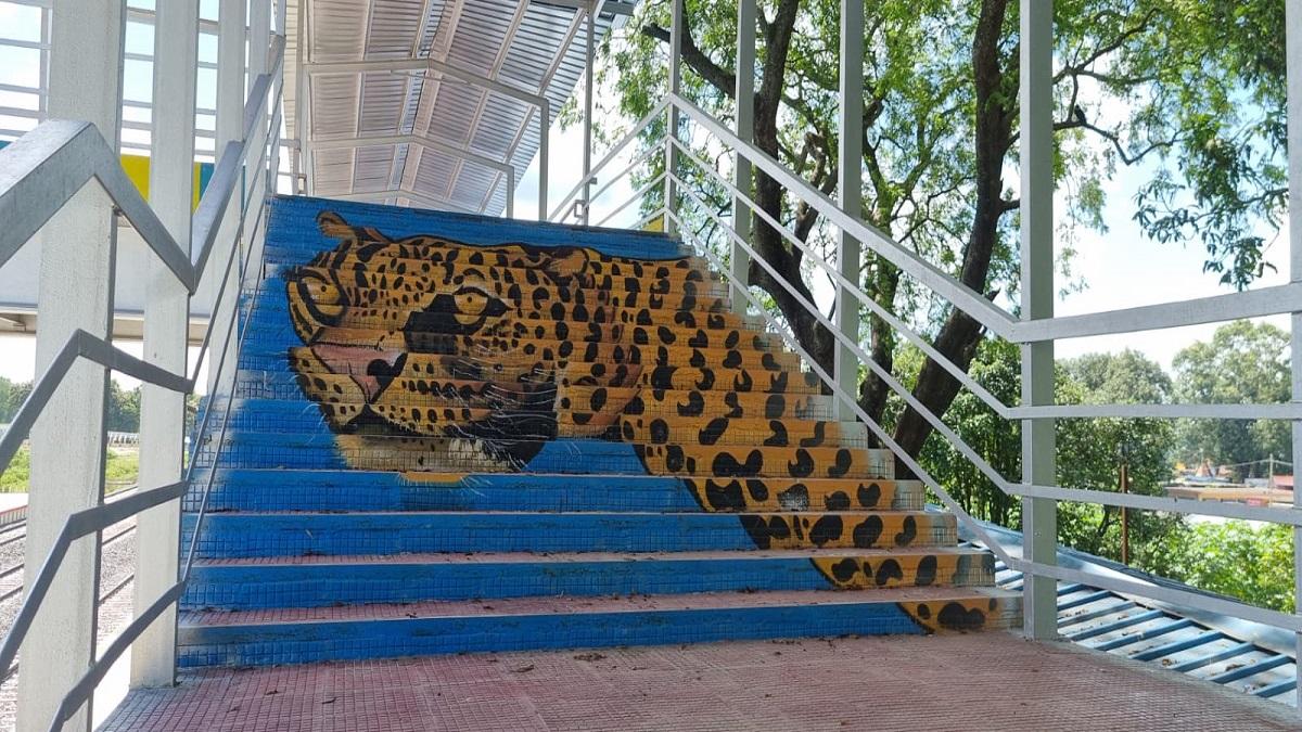 Beautification of Pilibhit