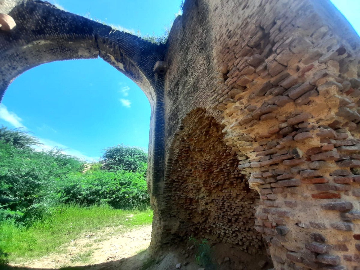 Raja Mahendra Pratap Singh