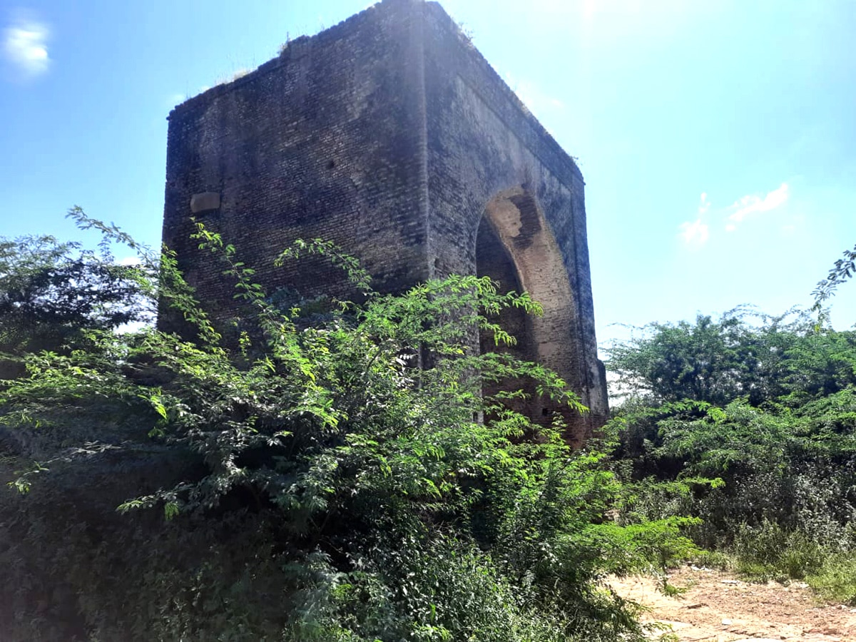 Raja Mahendra Pratap Singh