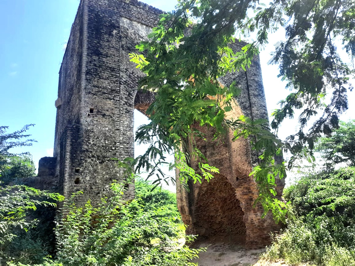 Raja Mahendra Pratap Singh