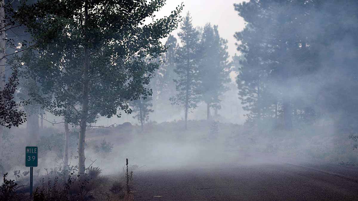 WHO New Air Quality Guidelines