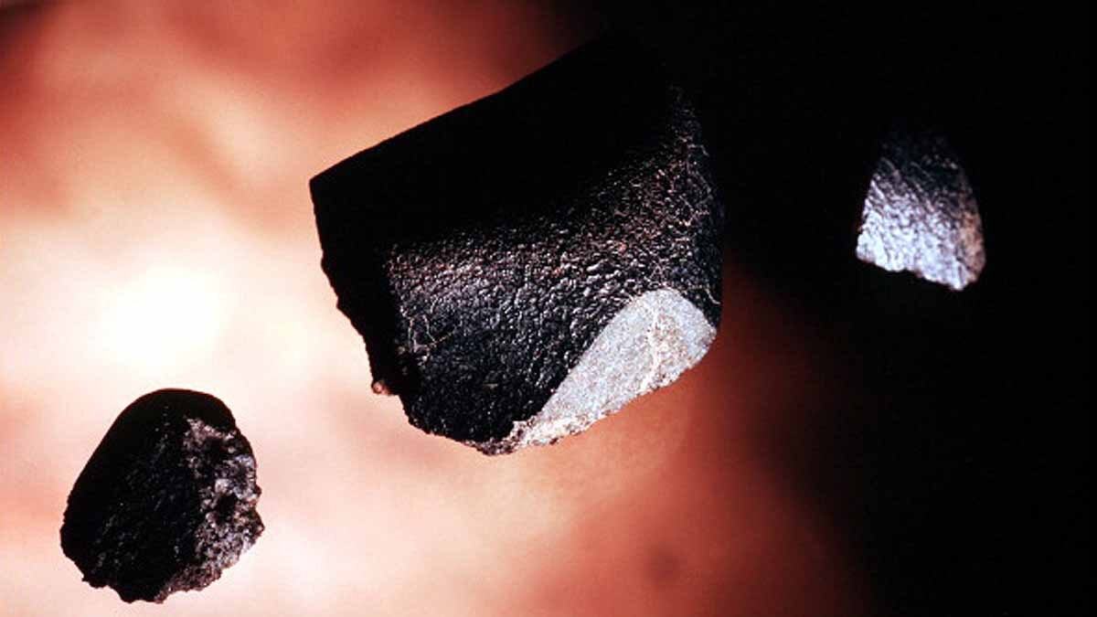 Worlds largest Martian meteorite
