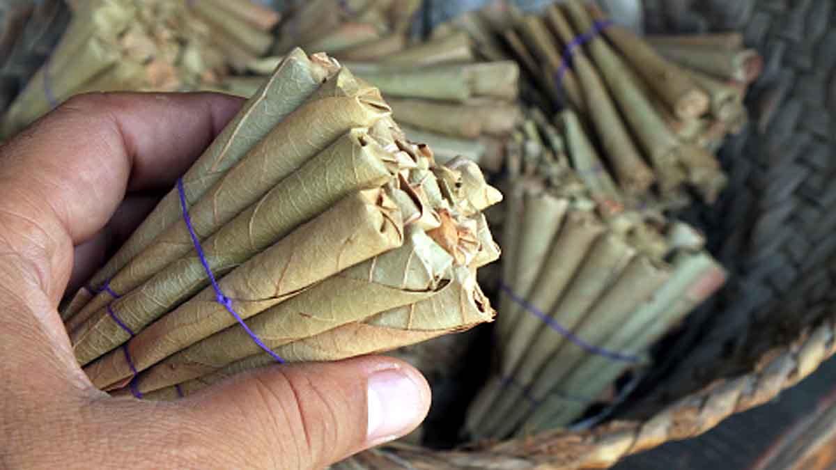 Human Use Tobacco History