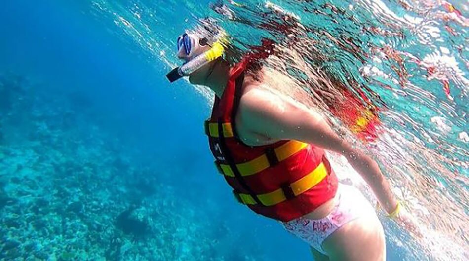 दिशा परमार