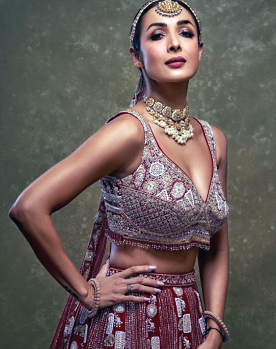 अर्जुन कपूर, मलाइका अरोड़ा