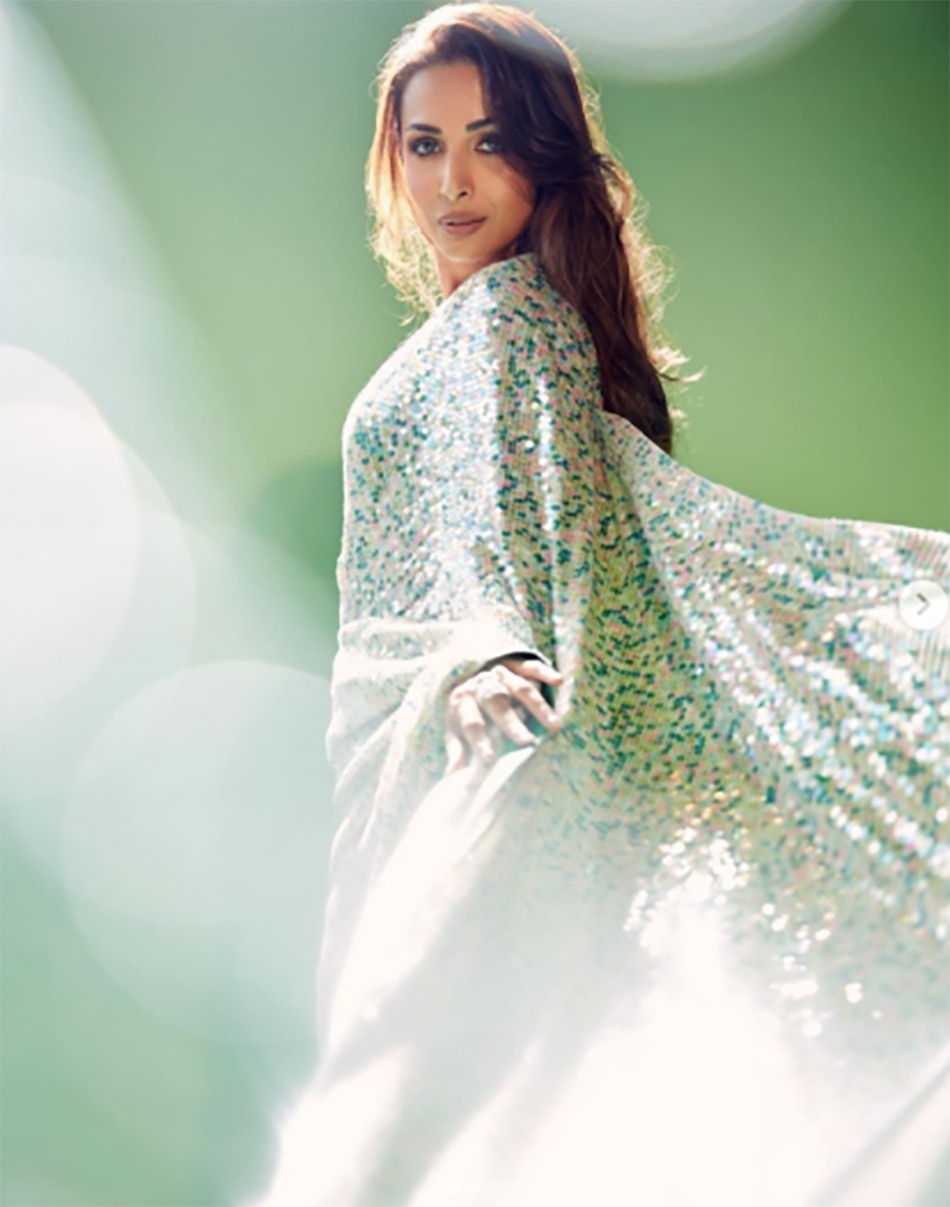 अर्जुन कपूर, मलाइका अरोड़ा