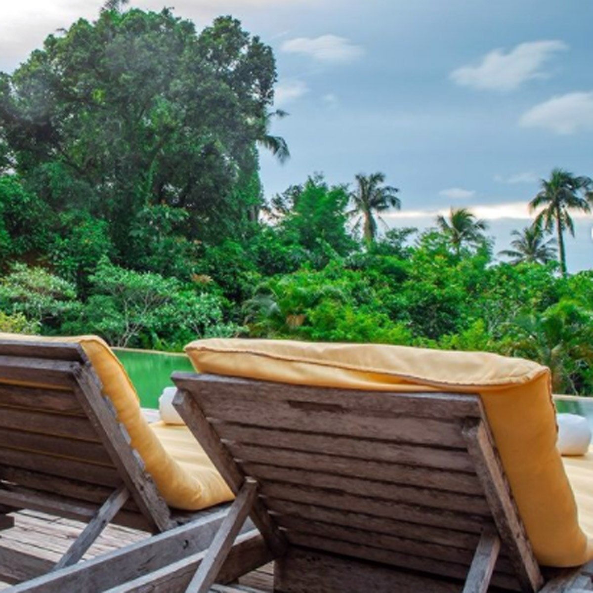 शाहिद कपूर-मीरा राजपूत