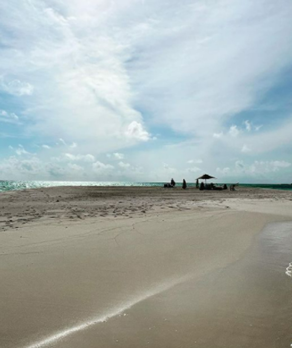 रुबीना दिलैक 