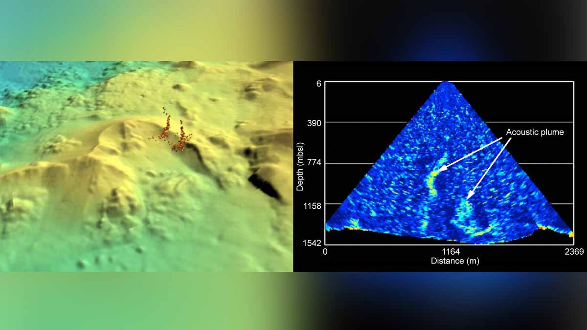 Birth of Undersea Volcano