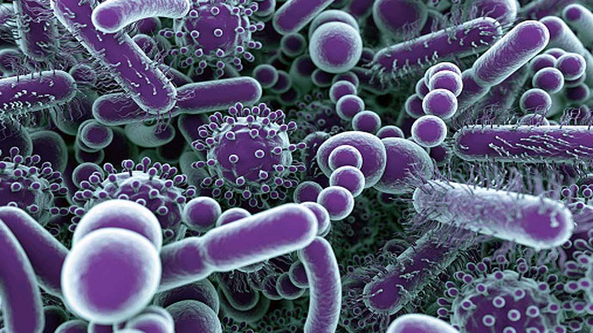 Viruses to Cure Blindness