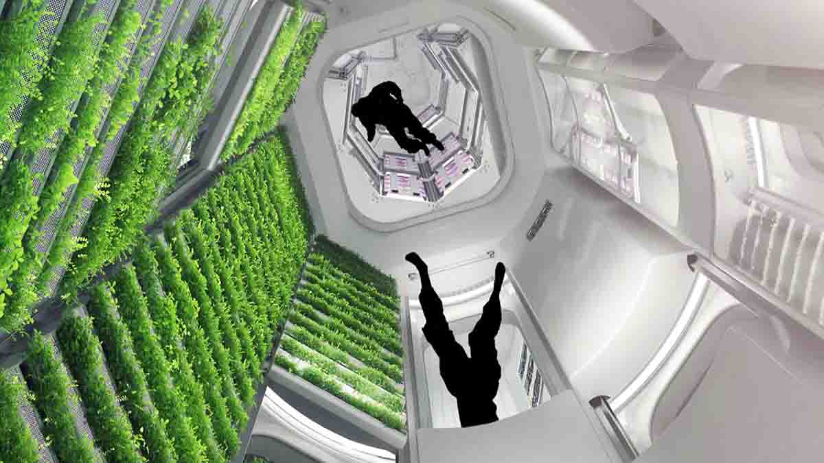Jeff Bezos Space Station