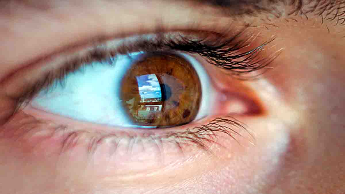 Blind Patient Brain Implant