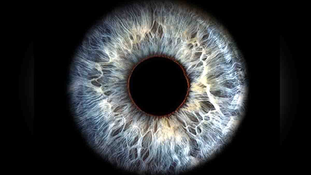 Blind Patient Brain Implant