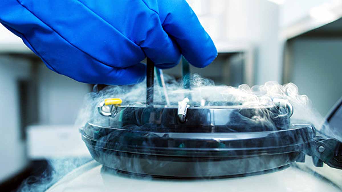 Minus 273 degree Celsius