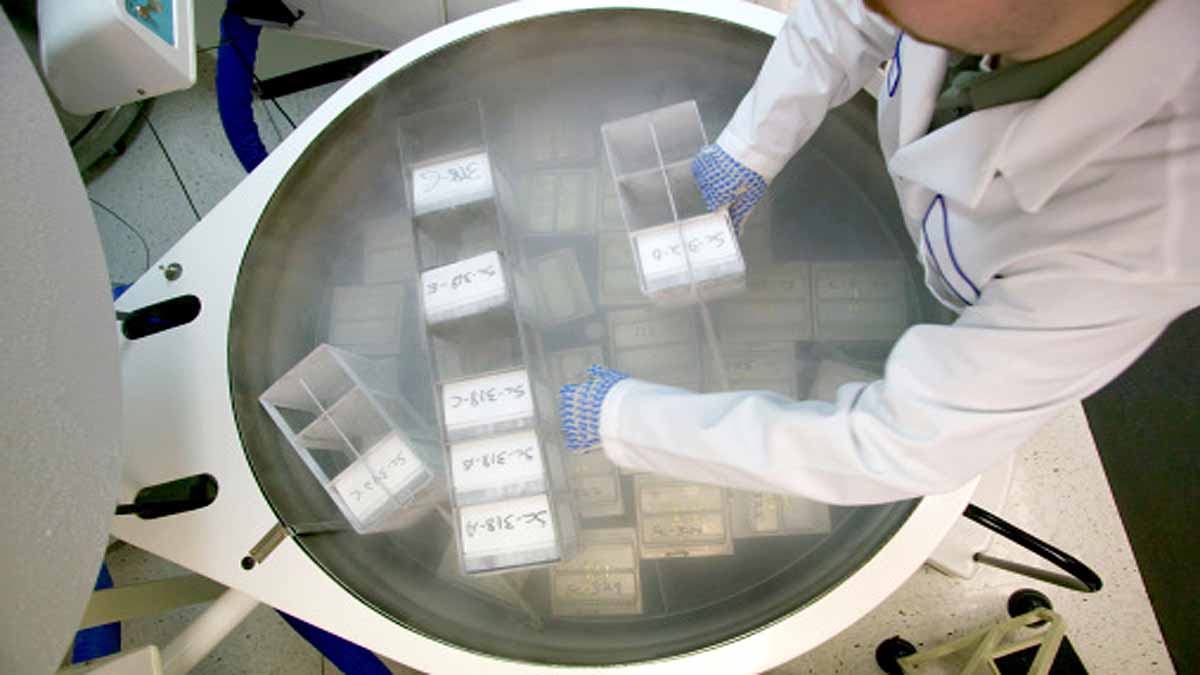 Minus 273 degree Celsius