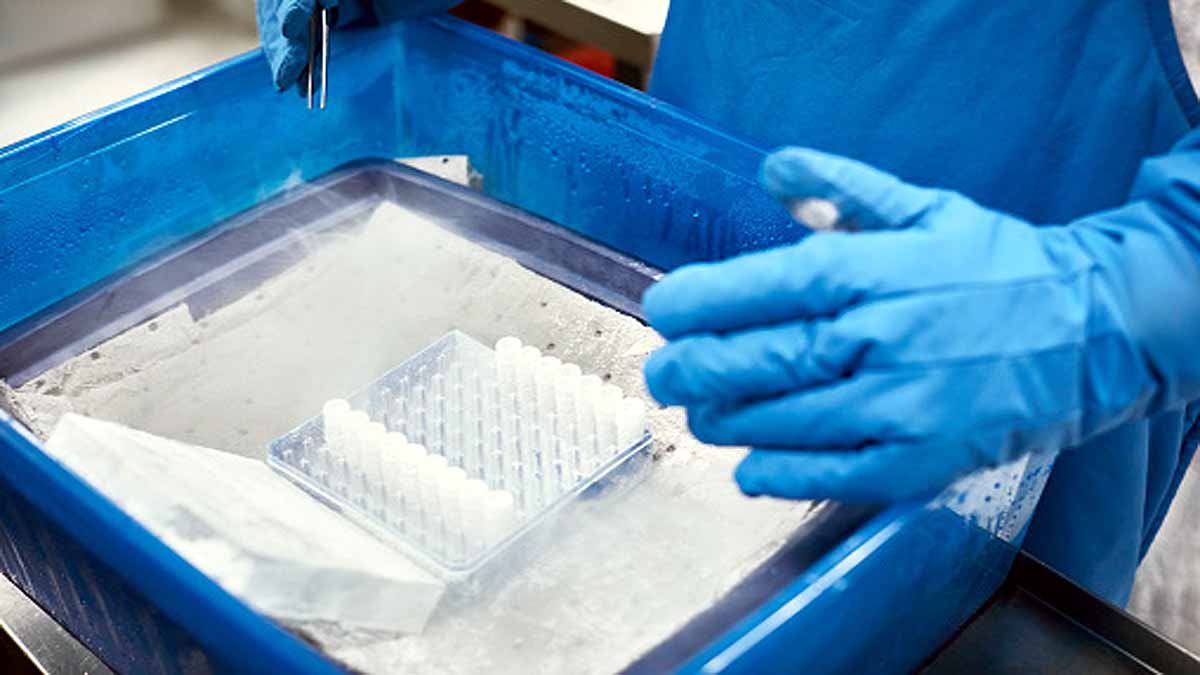 Minus 273 degree Celsius