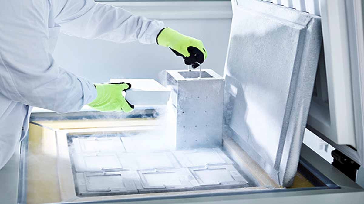 Minus 273 degree Celsius