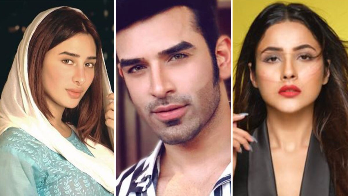 माहिरा शर्मा, पारस छाबड़ा, शहनाज गिल