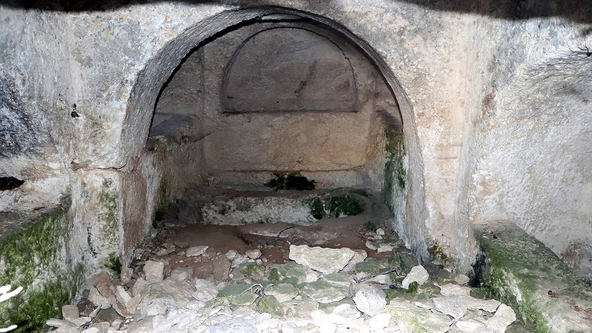 Treasure Alexander the Great