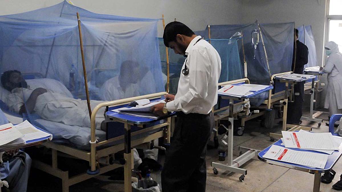 First Drug for Dengue