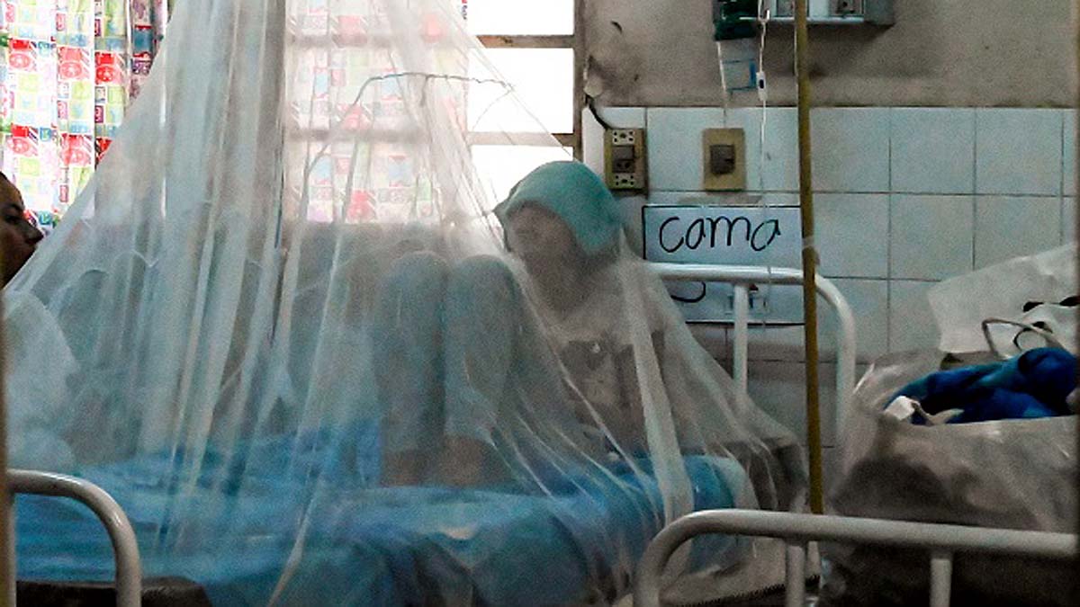 First Drug for Dengue