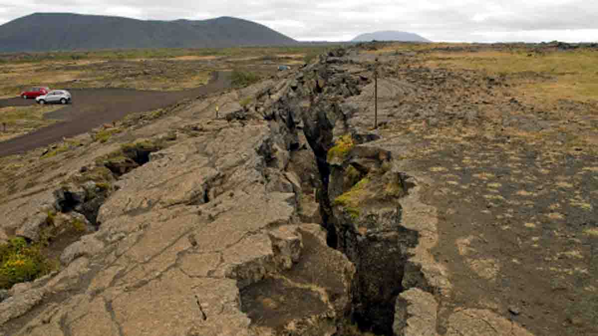 Earthquakes boost tree growth
