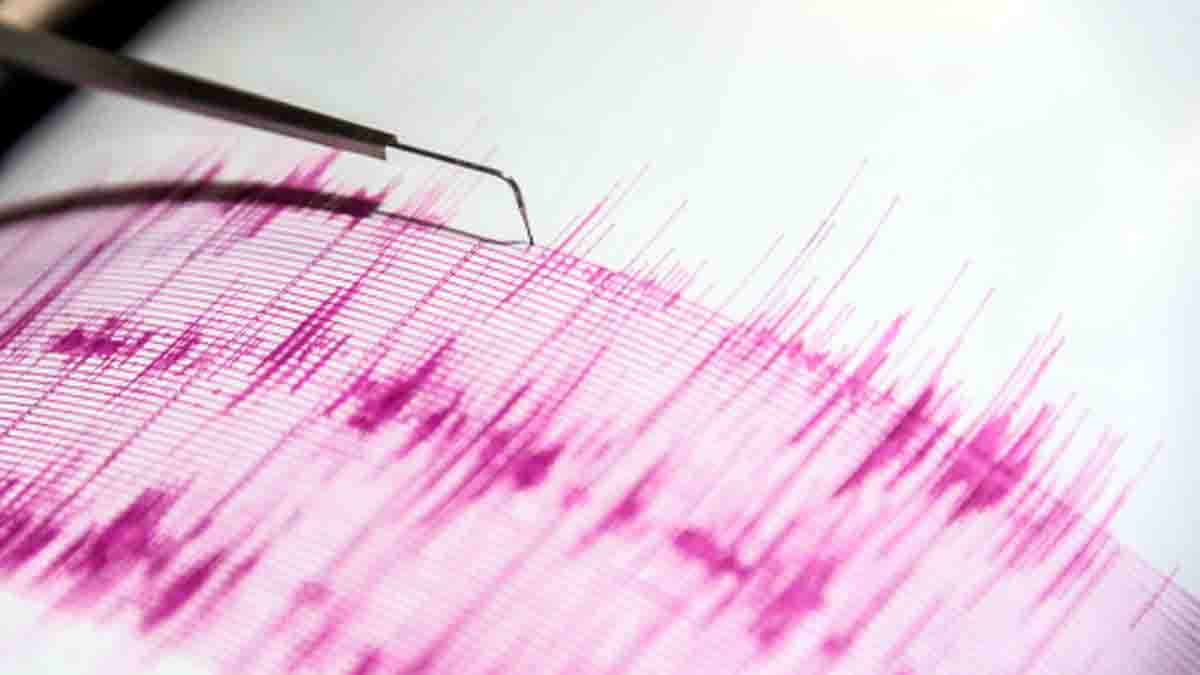 Earthquakes boost tree growth