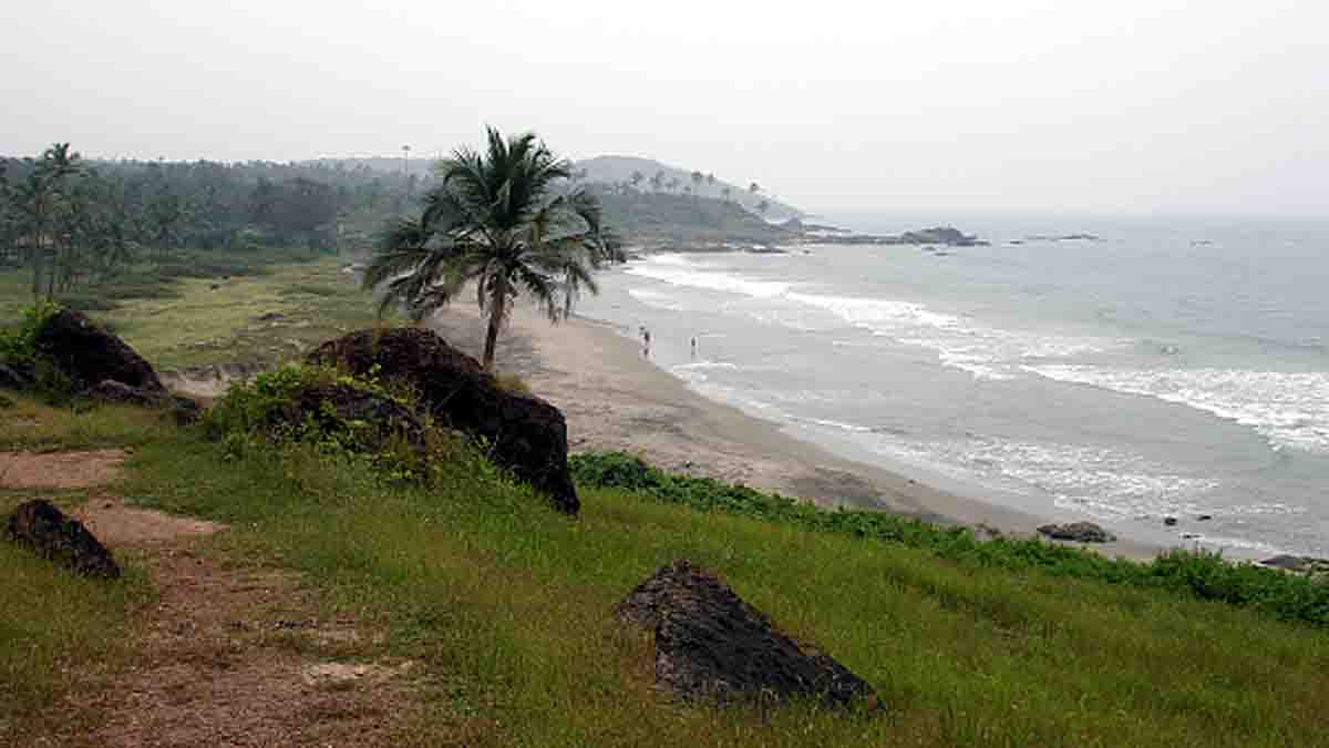 Earthquakes boost tree growth