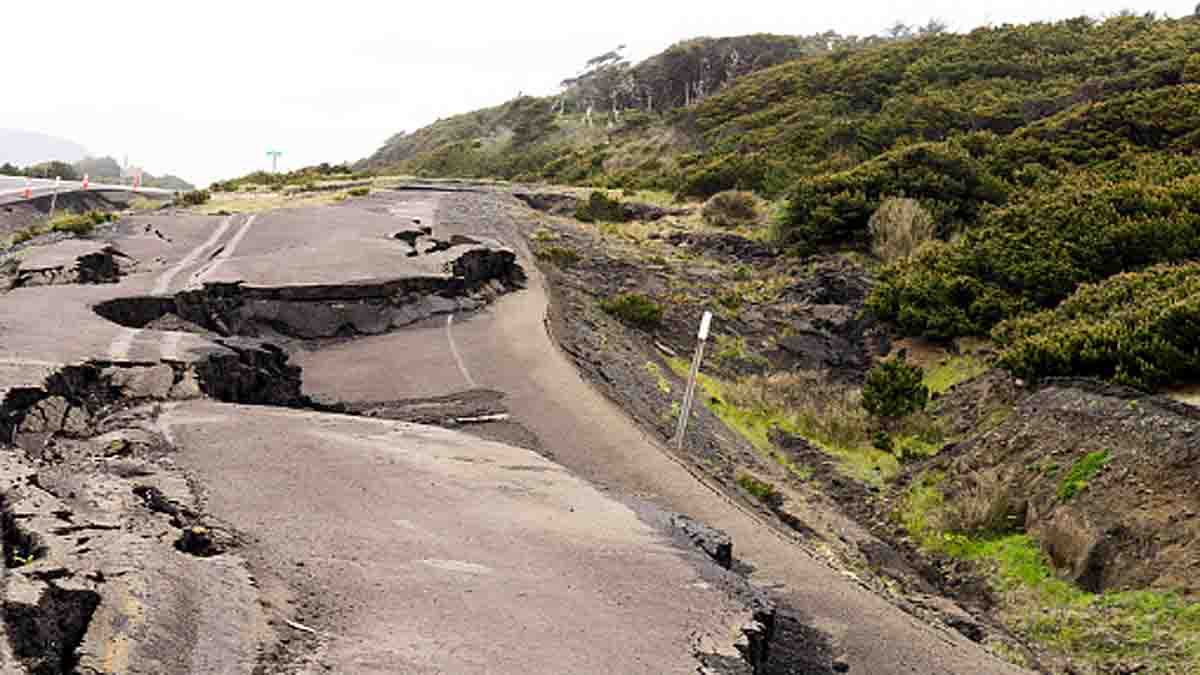 Earthquakes boost tree growth