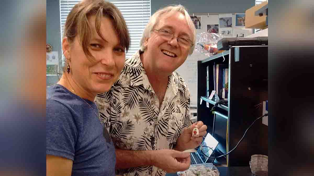 Mosquitoes Vanish From Earth