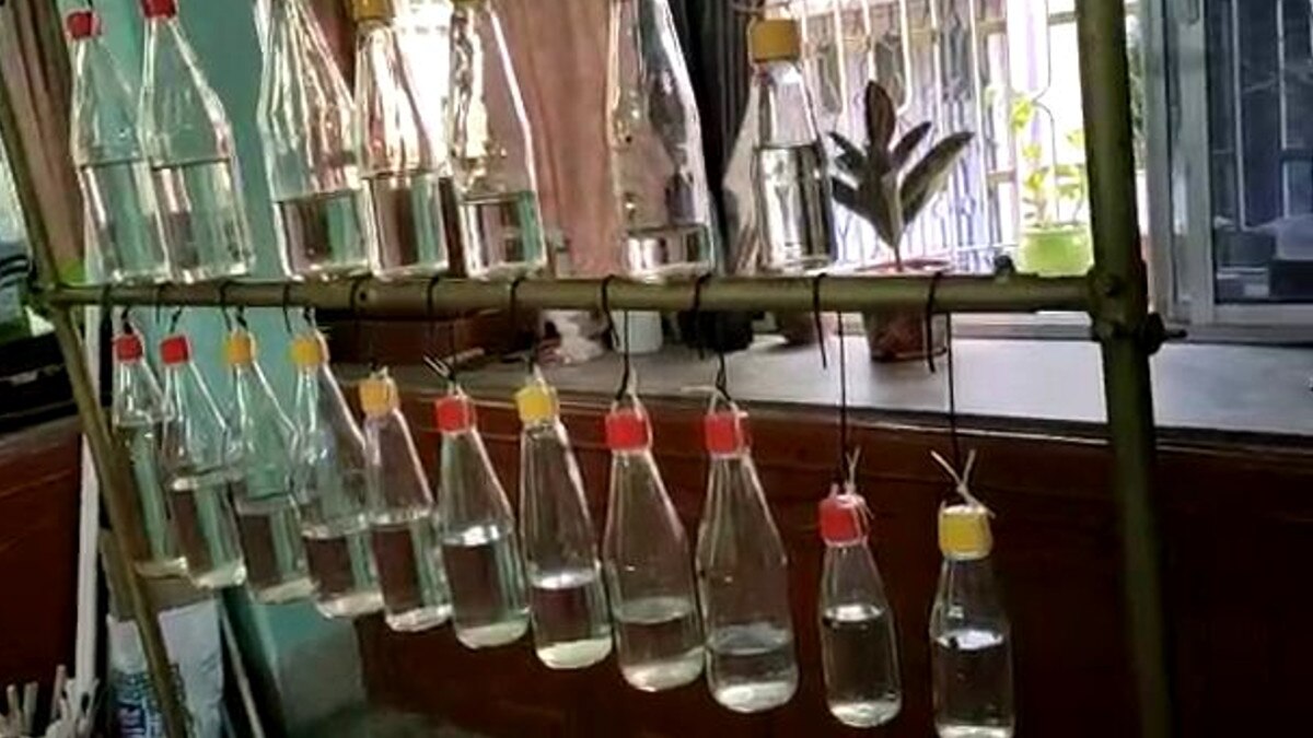 musical instruments are made from discarded junk