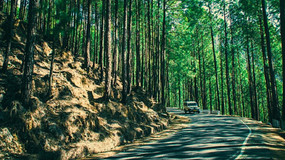 दशहरे पर 6 दिन की छुट्टी! 10,000 में प्लान हो सकता है 10 खूबसूरत जगहों का ट्रिप (Photo: Getty Images)