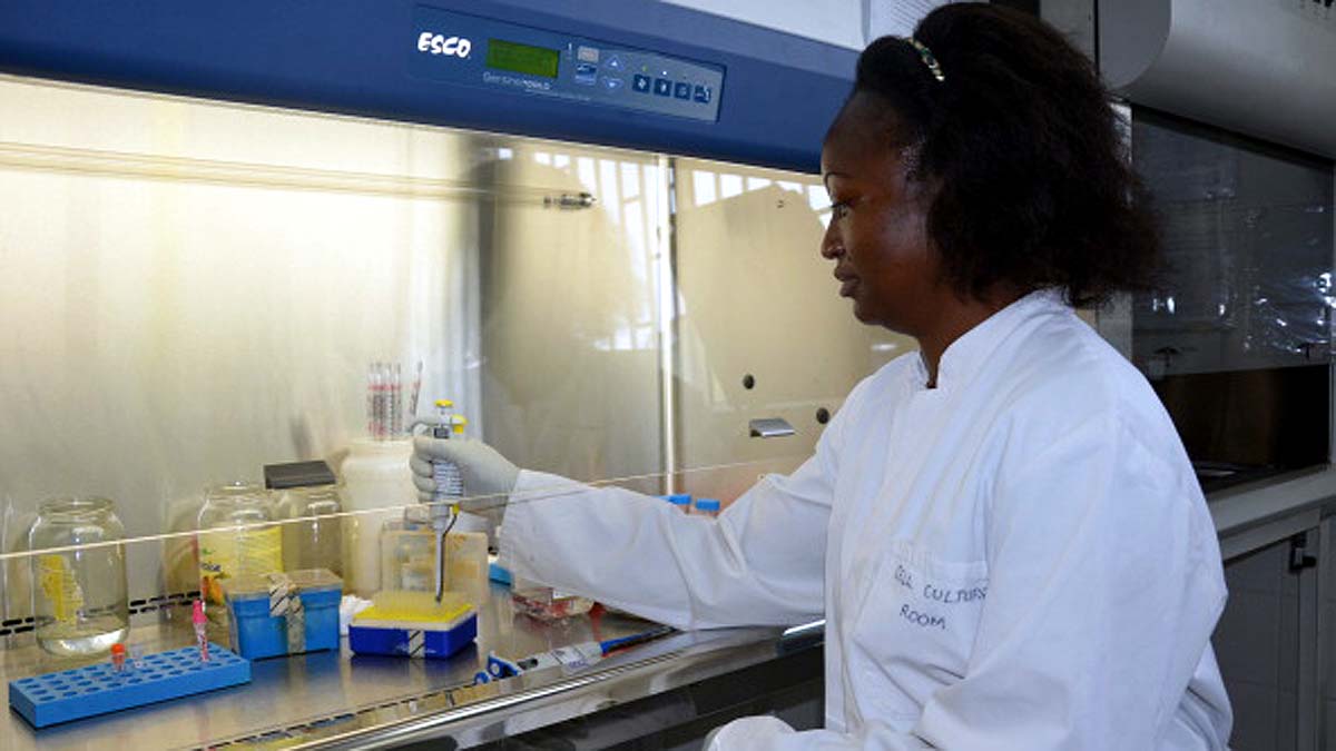 First malaria vaccine Mosquirix