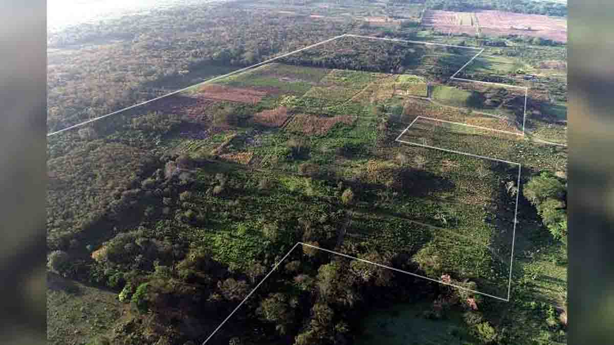 Maya Calendar 478 Structures