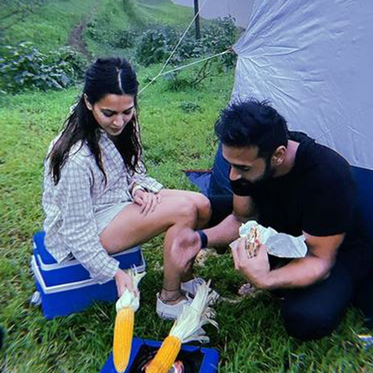 पुलकित और कृति