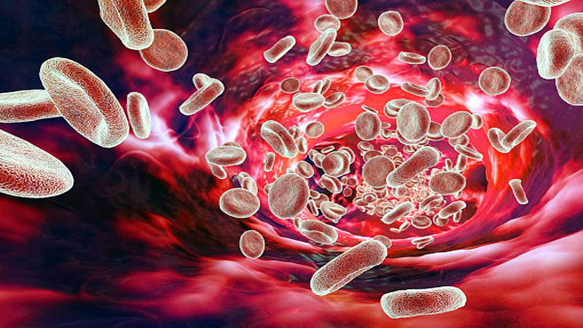 New Work of Red Blood Cells